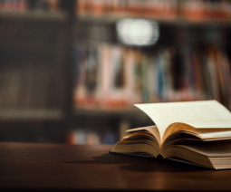 «Букмейт» сменил название на «Яндекс Книги»